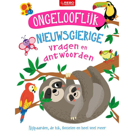 Rebo unglaublich – Fragen und Antworten