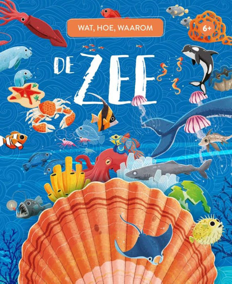 Rebo-Verleger das Meer – was, wie und warum