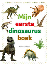 Rebo veröffentlicht mein erstes Dinosaurierbuch