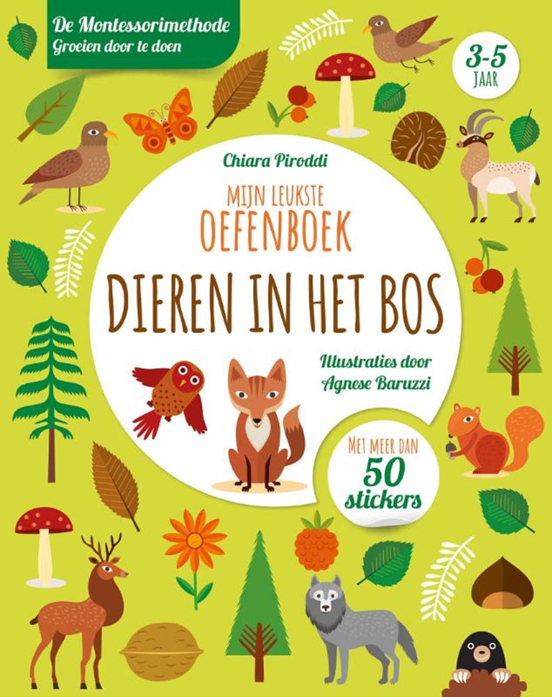 Rebo-Verlag Tiere im Wald – Übungsheft