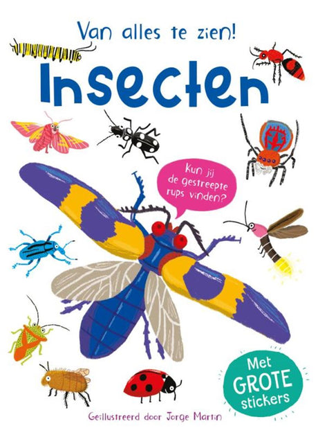 Rebo-Verleger haben viel zu sehen! Insekten 3+