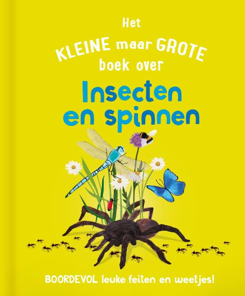 Rebo-Verlag das kleine, aber große Buch über? Insekten Spinnen