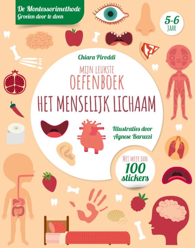 Rebo-Verleger: Das beste Übungsbuch für den menschlichen Körper