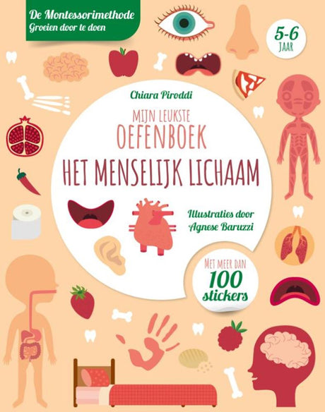 Rebo-Verleger: Das beste Übungsbuch für den menschlichen Körper