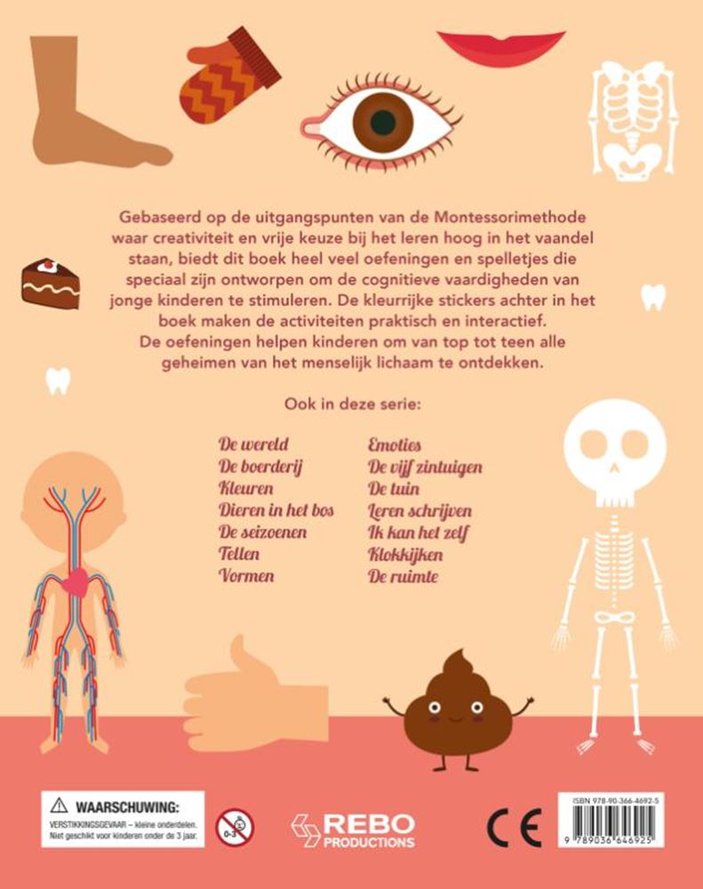 Rebo-Verleger: Das beste Übungsbuch für den menschlichen Körper