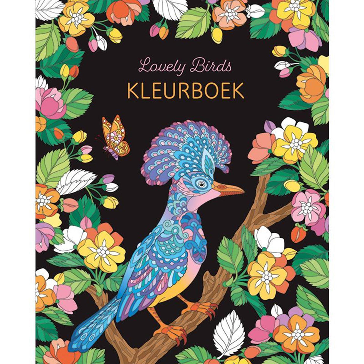 Deltas schönes Malbuch mit Vögeln