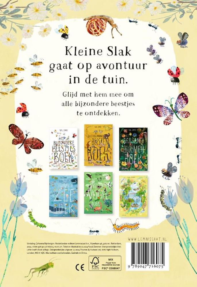 Lemniskate das kleine Schneckenwesenbuch (Brettbuch)