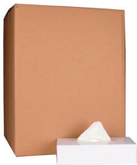 Sans-Marque-Papiertaschentuch ohne Marke, 2-lagig, 100 Taschentücher pro Box, Packung mit 40 Boxen
