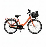 Aldo 24 Zoll Carino Fahrrad Alu 3V Lachsorange