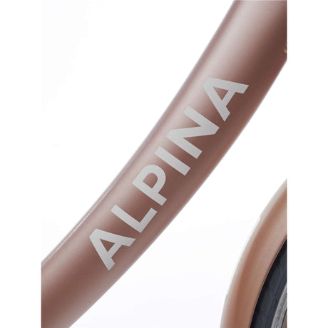 Alpina Clubb M20 Roségold
