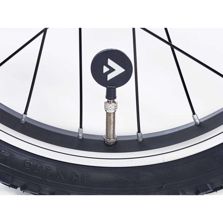 Alpina -Versuch J16 Dark Benzin Matt