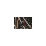 Bracket NYX Hecklicht schwarz