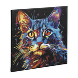 Kreative Bastelgruppe Malen nach Zahlen, schwarze Leinwandkatze, 30 x 30 cm