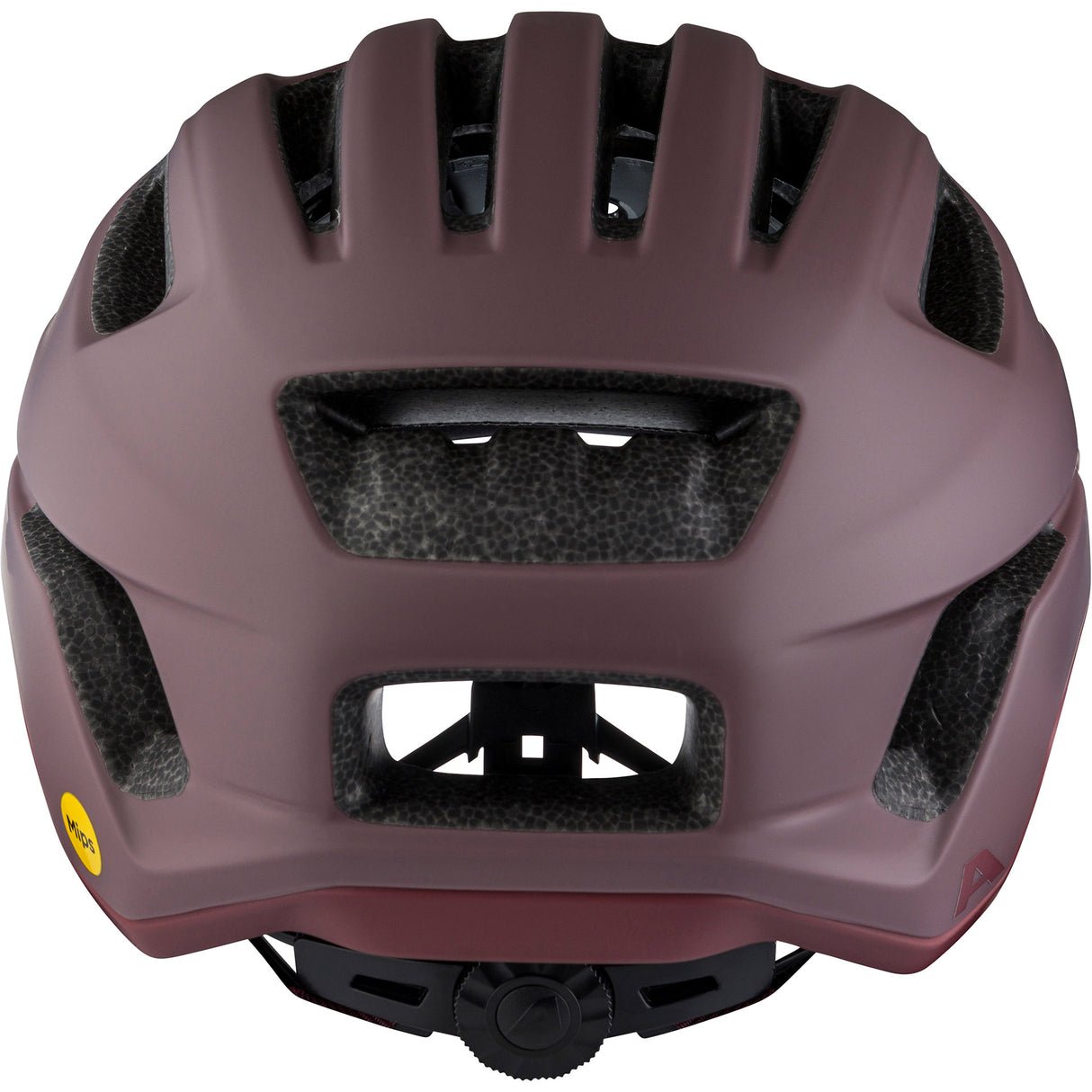 Olympiasportbekleidung Alpina Sports Tour Helm Paranus Mips 52-56 mattbraun