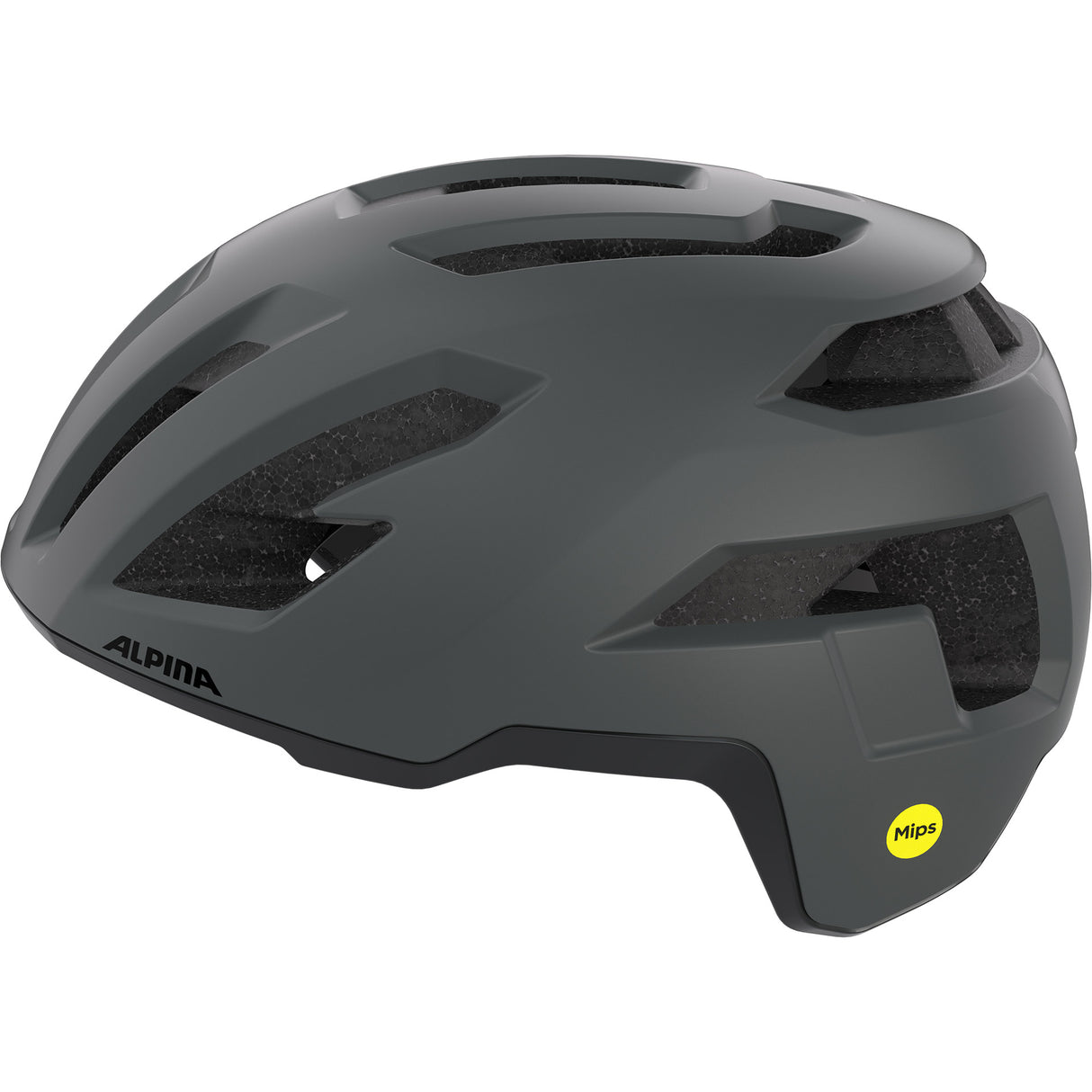 Olympiasportbekleidung Alpina Sports Tour Helm Taunus Gravel Mips 52-56 matt dunkelgrau