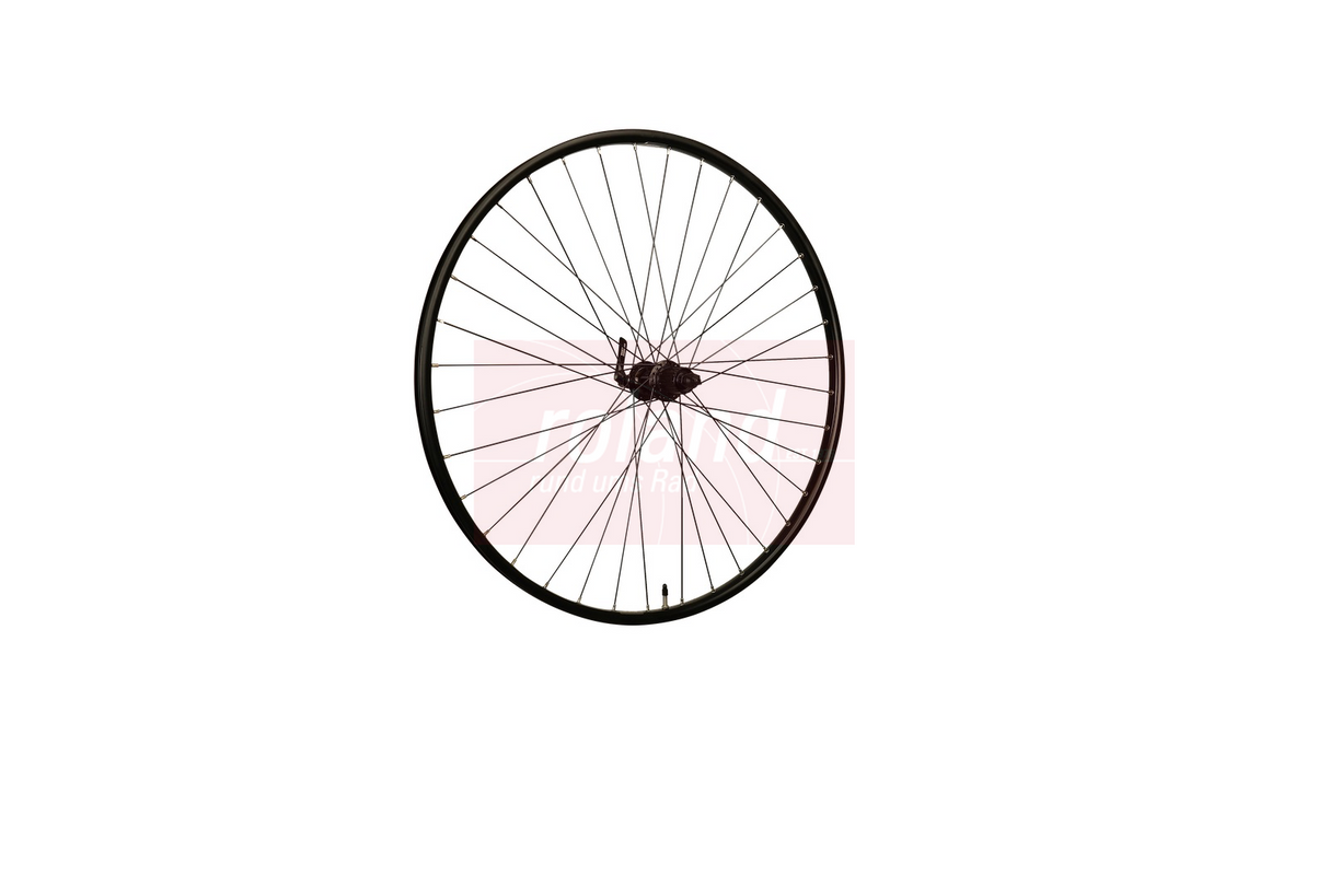 Roland Hinterrad 28 Ryde Rival21 Shimano M6000 Schwarz