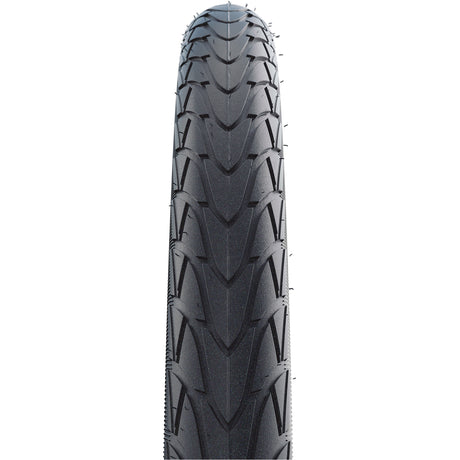 Schwalbe