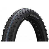 Extérieur de Schwalbe 26-4.00 (100-559) Jumbo Jim Evolution Black VW