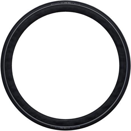 Schwalbe Tire 28-1.20 (30-622) Ein Plus-Perf-SG TS-Schwarzfalte