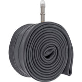 Schwalbe-Röhre #19l-ap 54 65-622 av40