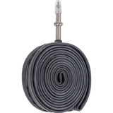 Schwalbe