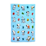 Union Blankazzz Peanuts Snoopy Woodstock 2-in-1 kuschelige Reisedecke