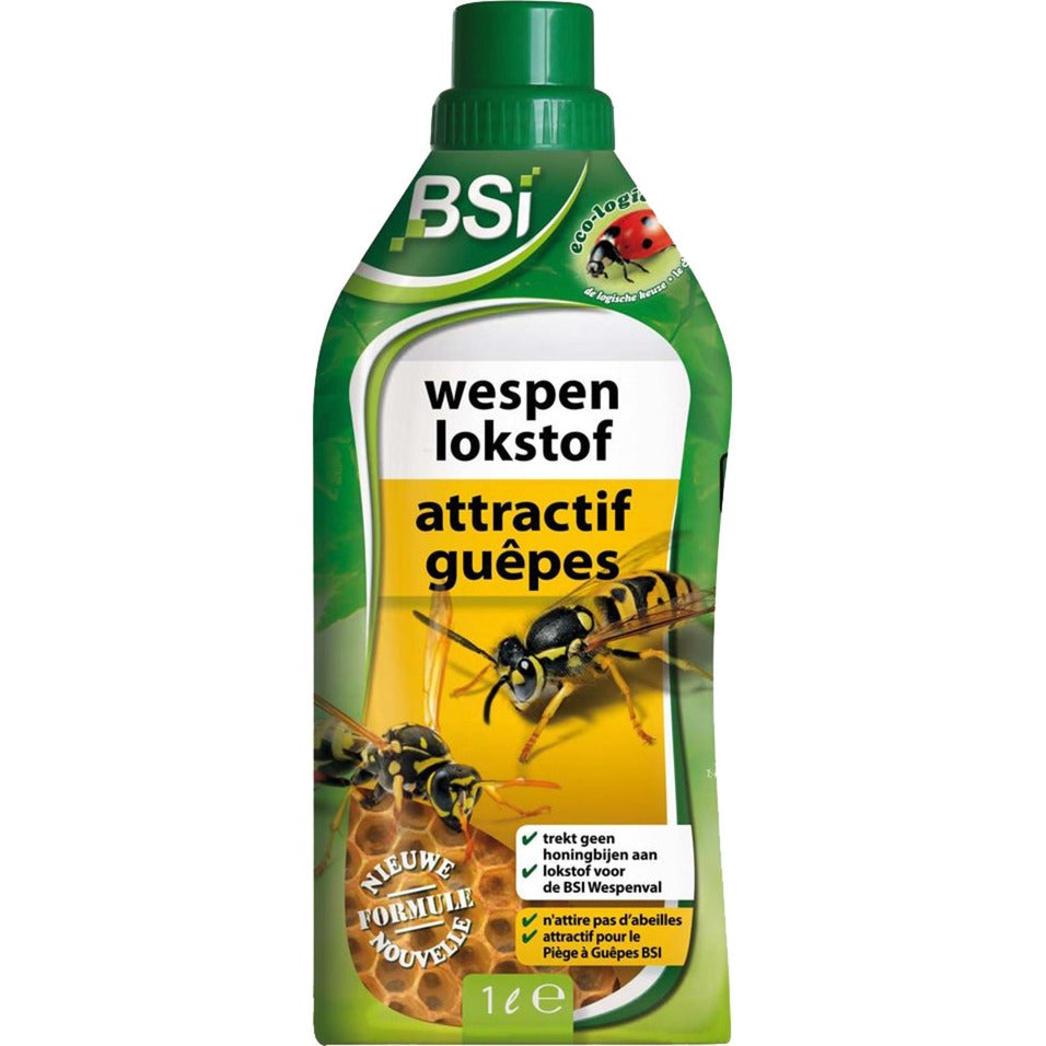 BSI Wasps Locch