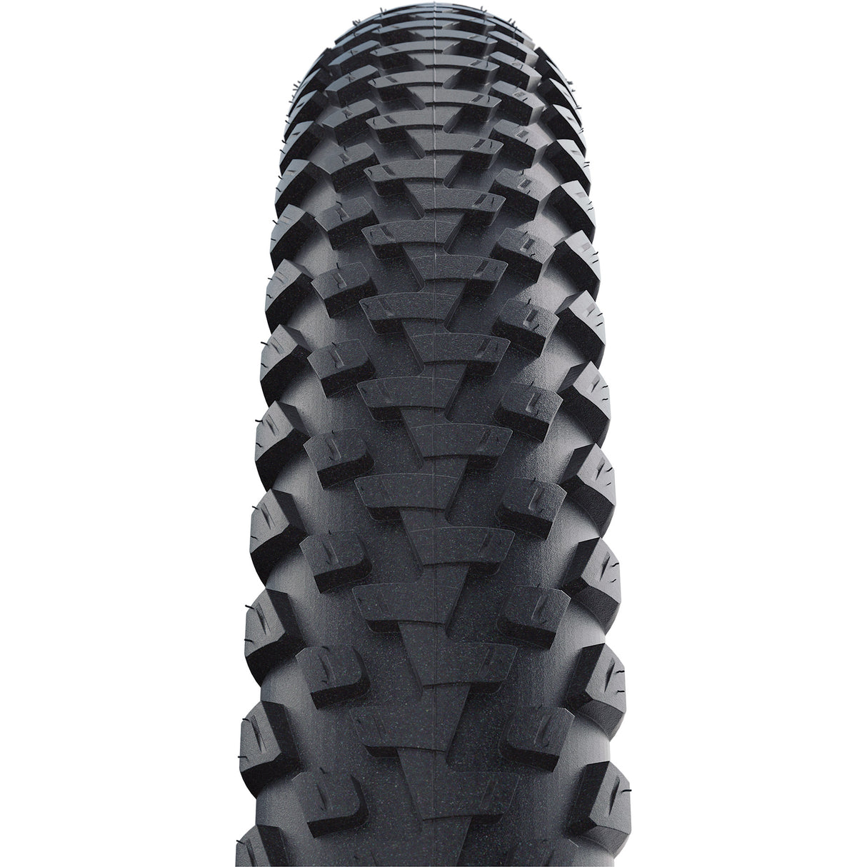 Schwalbe