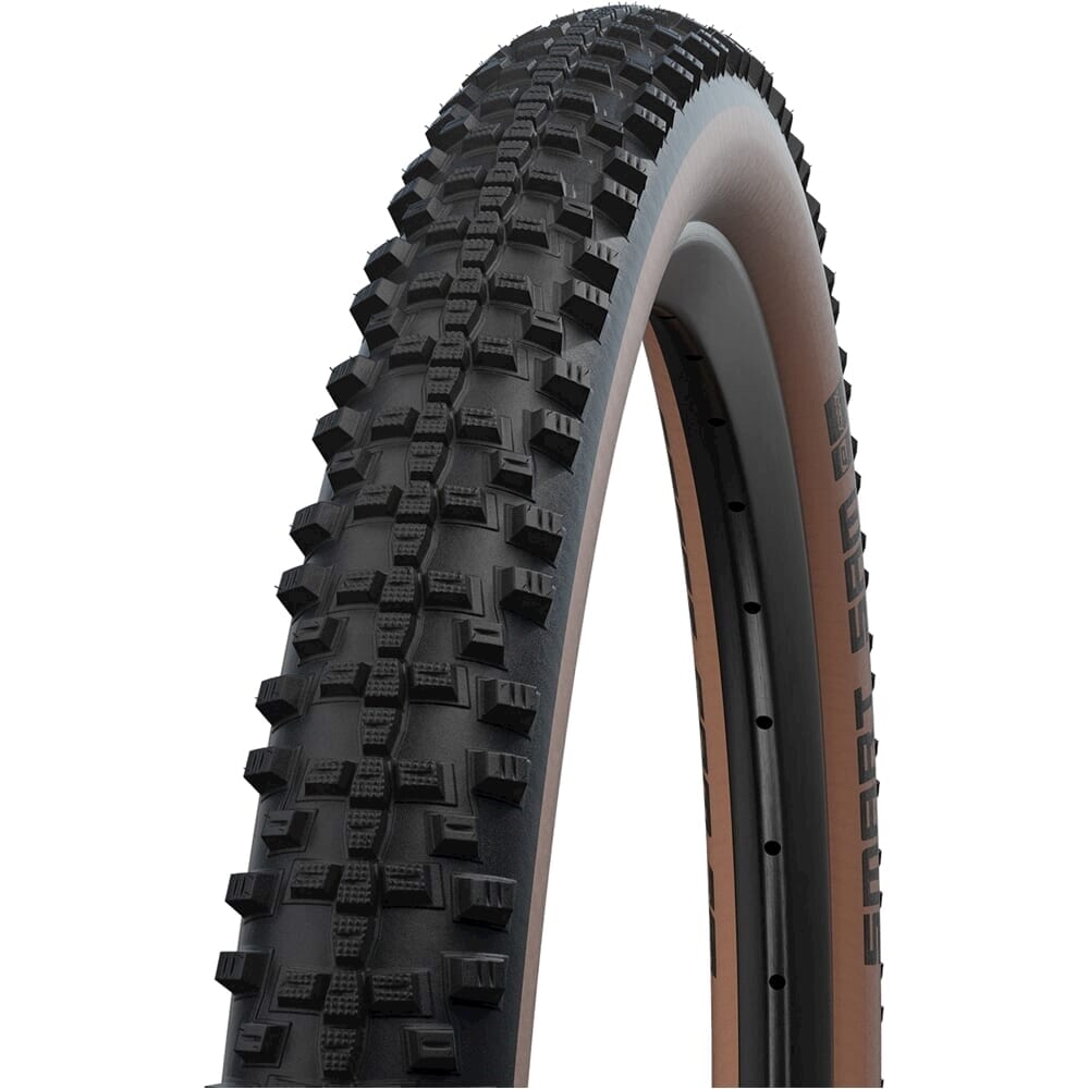 Schwalbe tire Smart Sam Performance 29 x 2.10 ZW BRZ