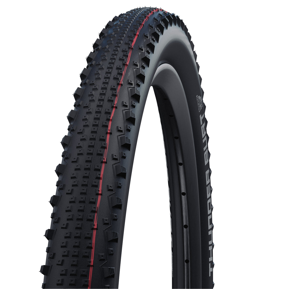 Schwalbe zunanjost 29-2.10 (54-622) Thunder Burt Evo Trans.Skin VW