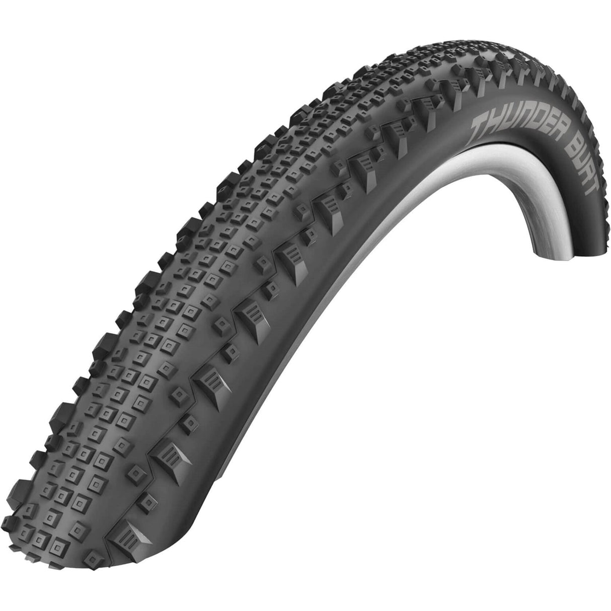 Schwalbe Tire Thunder Burt Evo Superground 29 x 2.10 SW Fold