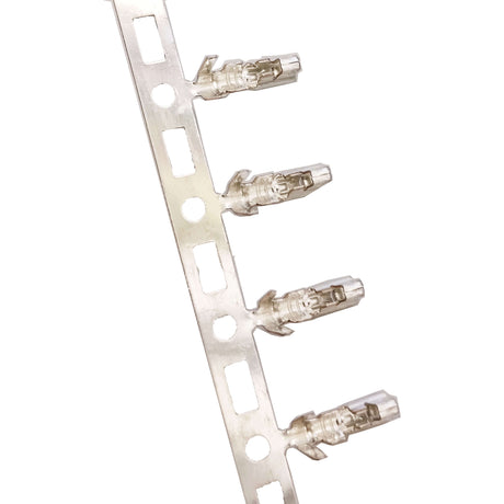 Cortina Kabelstecker Kontaktstift weiblich (10)
