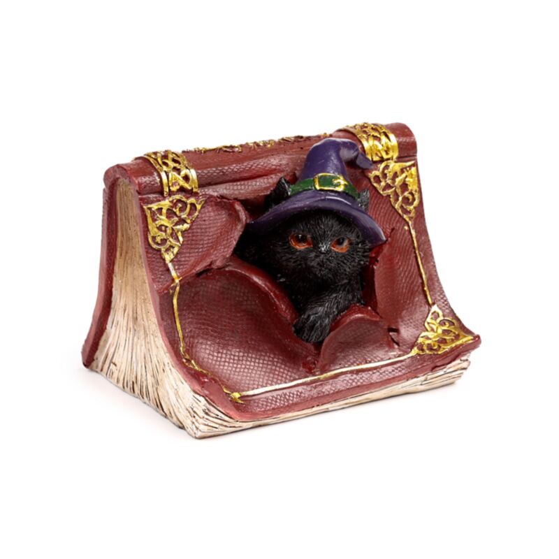 Hexen, schwarze Katze, schelmisches Zauberbuch