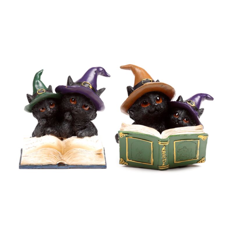 Zauberbuch der schwarzen Katze der Hexen