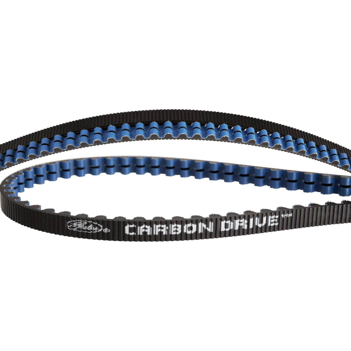 Gates CDX Riem Carbon Drive 111 Teeth Black Blue - 1221mm, 11mm Pitch, 12mm wide.