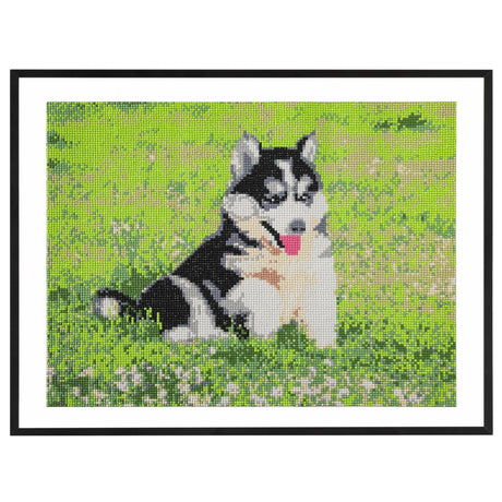 Craft id diamond painting, 40x50cm, dog