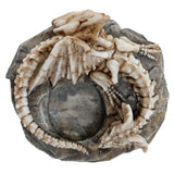 Schatten der Dunkelheit, schlafende Knochen, Drachenskelett, Teelichthalter