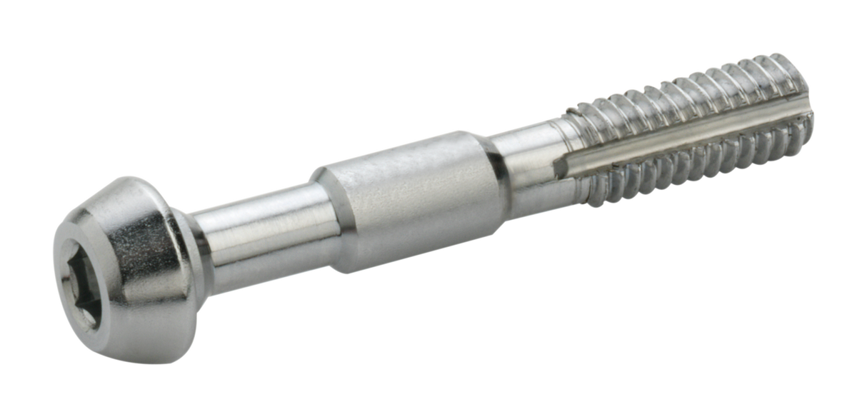 Elvedes Hohlschrauben für Shimano (2 Stück)