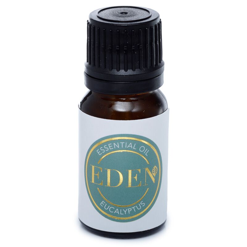 Eukalyptus – ätherisches Edenöl 10 ml