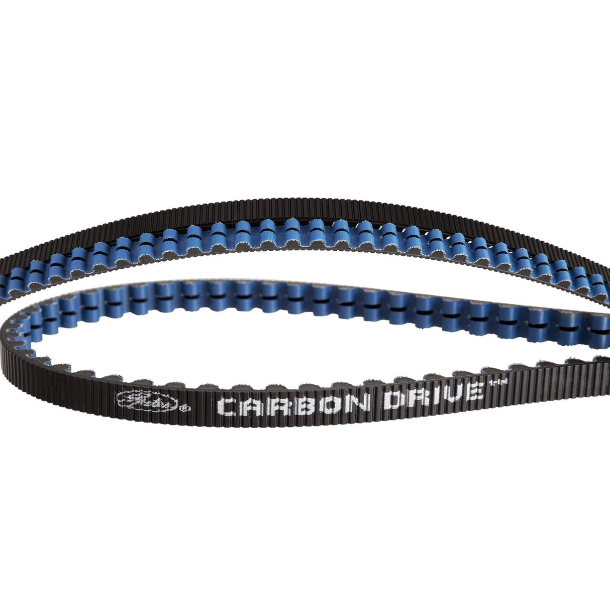 CDX belt 115 tooth black blue (1265mm)