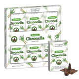 37423 Stamford Backflow-Räucherkegel – Citronella