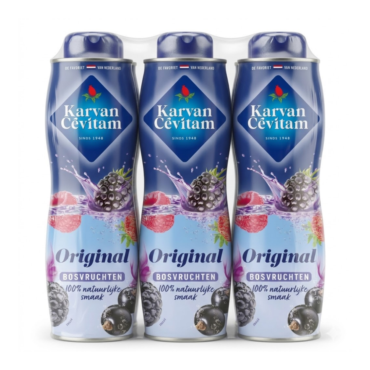Karvan Cévitam Karvan Cevitam Waldfrüchte (6x 600ml)