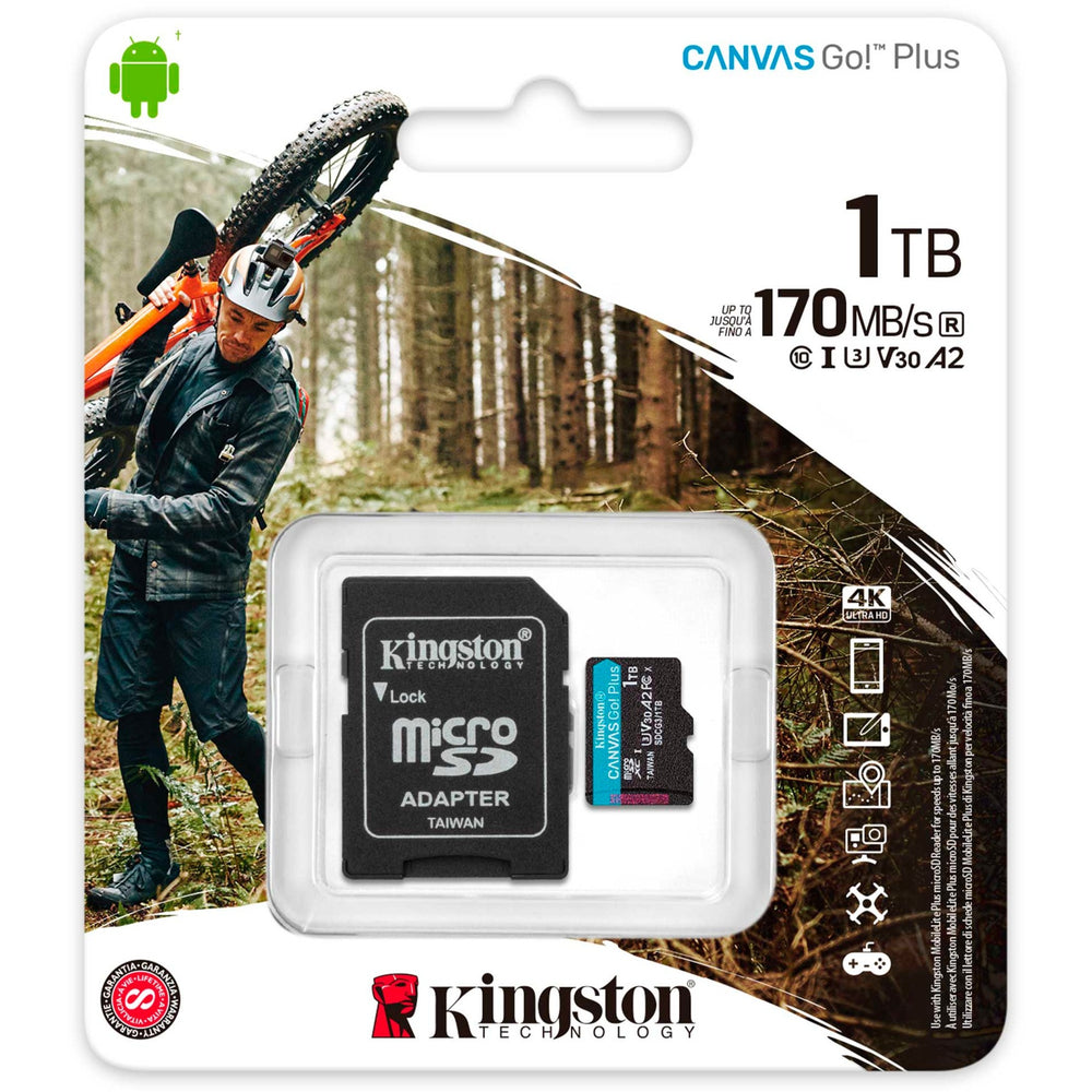 Kingston Canvas gehen! Plus microSDXC 1 TB