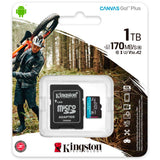 Kingston Canvas gehen! Plus microSDXC 1 TB