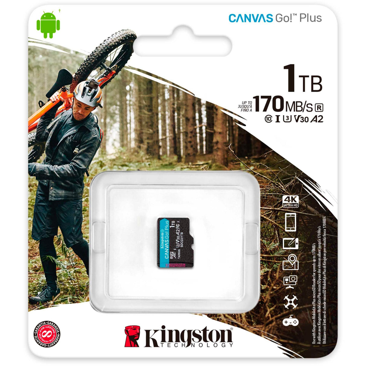 Kingston Canvas gehen! Plus microSDXC 1 TB