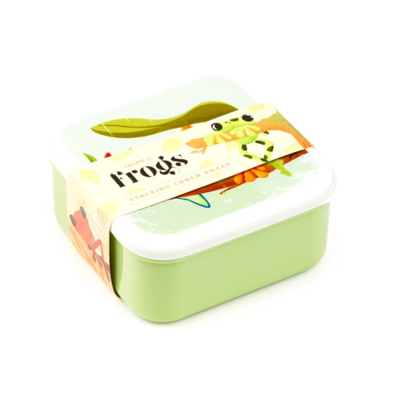 Set 3 Lunchbox M L XL tropischer Laubfrosch