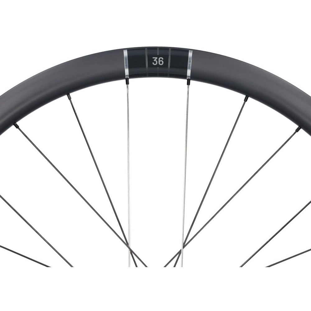 Selle Monte Grappa Miche Laufradsatz Kleos RD Team Edition 35 mm Disc Tubeless
