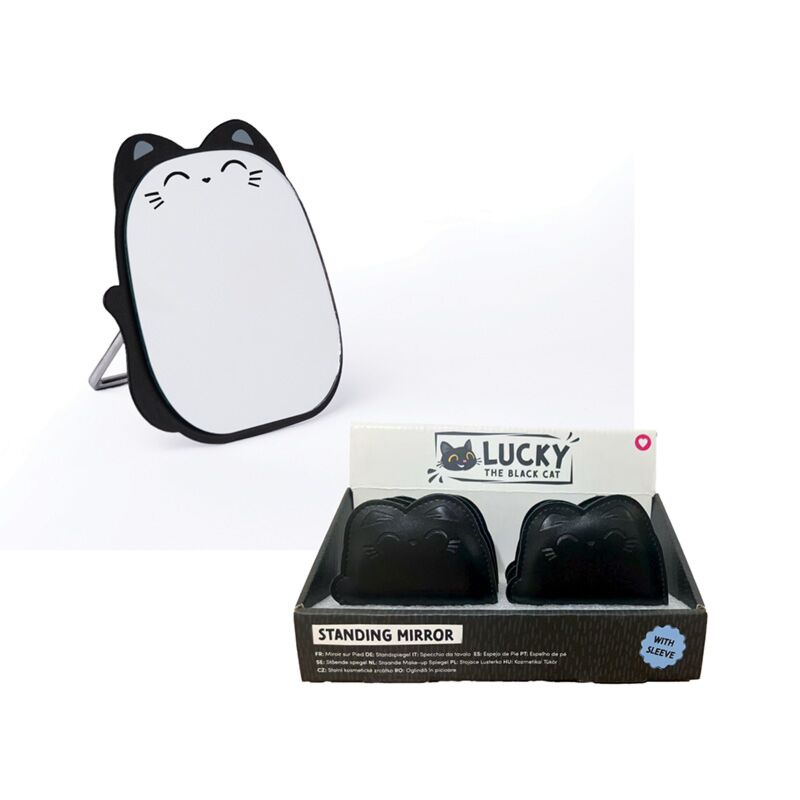 Lucky, die schwarze Katze, steht im Mini-Taschenspiegel