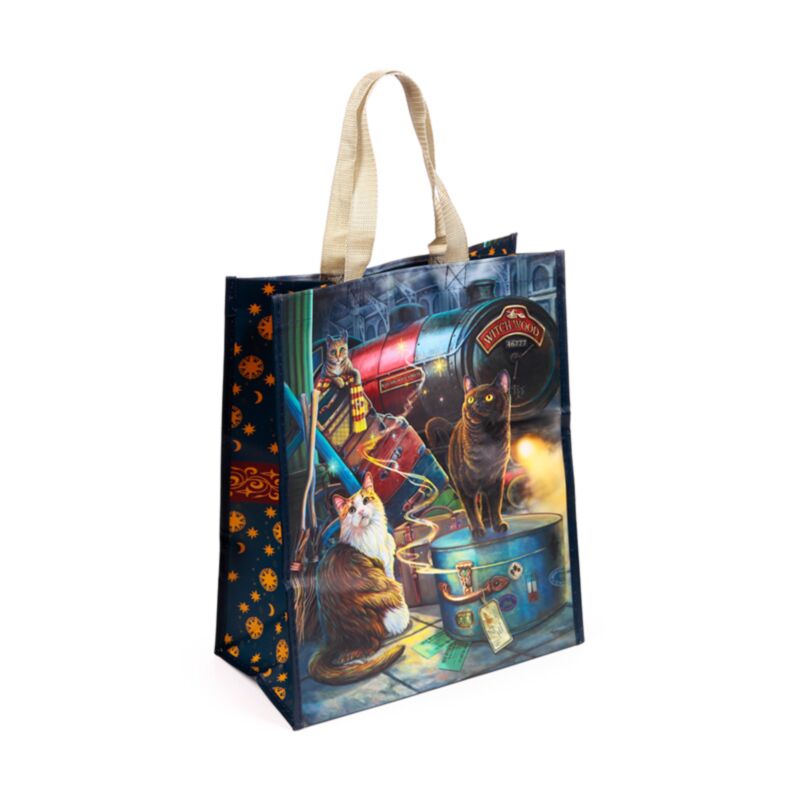 Hoppe Lisa Parker Witchwood Express Cat nachhaltige SR-Tasche
