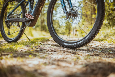 Schwalbe Valp Staubkappe SC SCV Ventil BL 50Stk